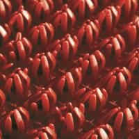 Щетинистое покрытие на ПВХ основе красный 0,9х15м - купить от компании Центр Стройпластик