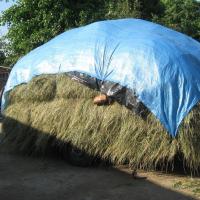 Тент тарпаулин 180г/м.кв. (8х12м) - купить от компании