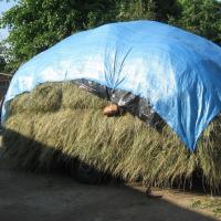 Тент тарпаулин 180г/м.кв. (15х20м) - купить от компании